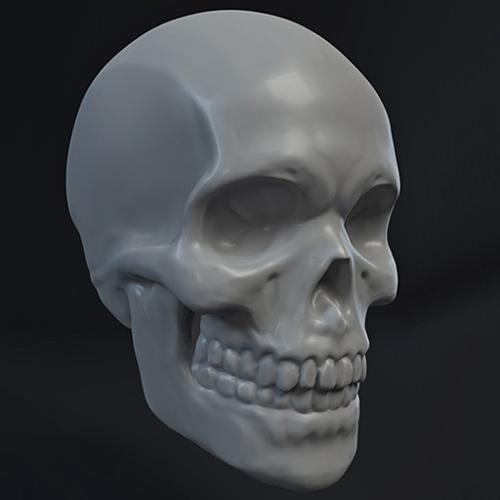 Skull Sculpt preview image